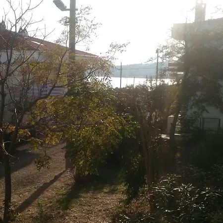 Lalemiz Ii *